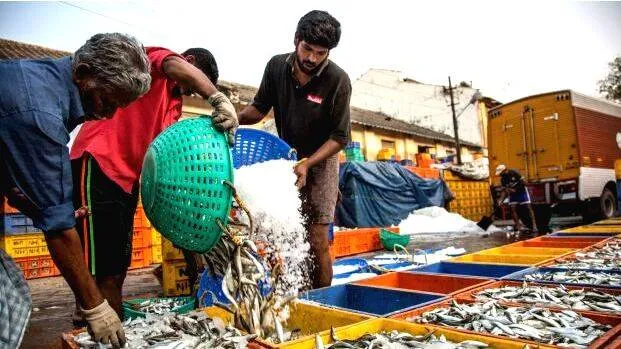 fisheries