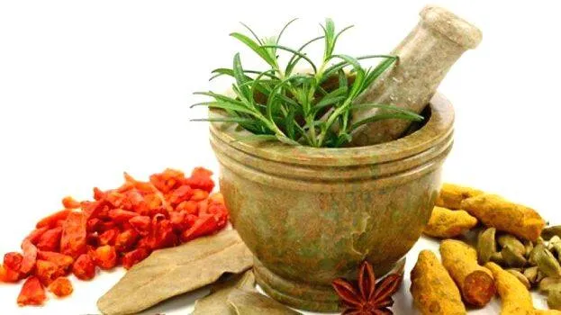 ayurveda