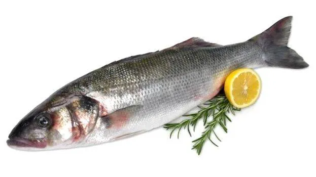 mpeda