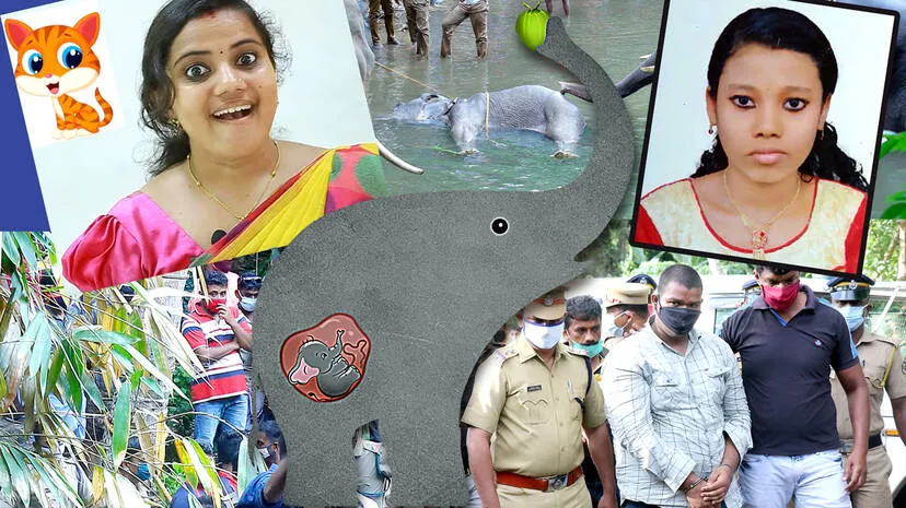 collage