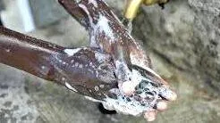 kenyan-model