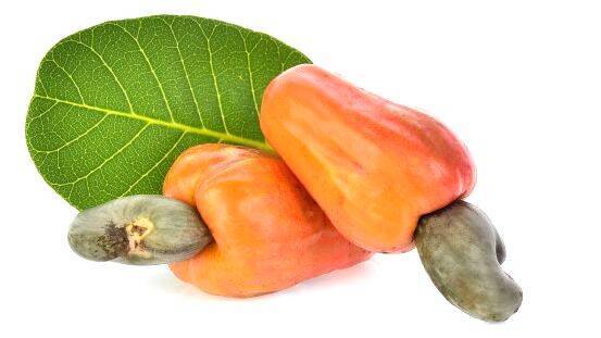 cashew cashew
