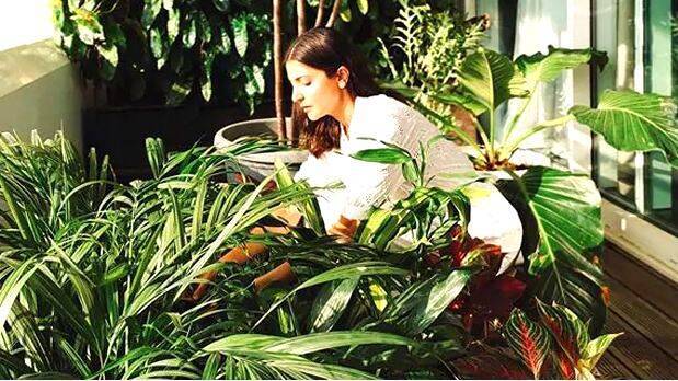anushka-sharma-