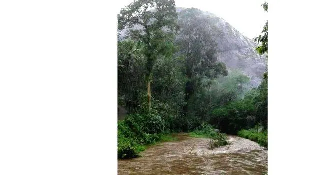 05-kattathippara