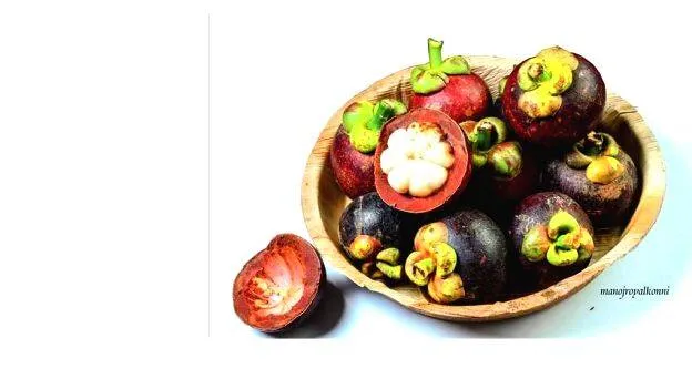 20-mangostian