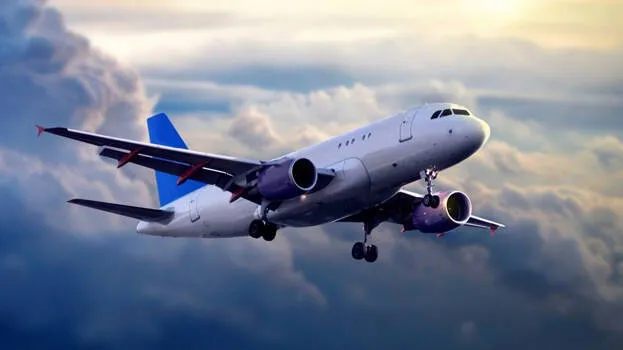 flight