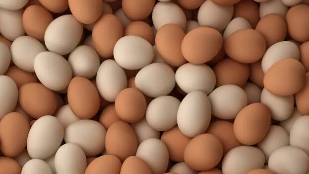 eggs