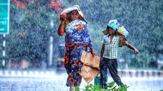 rain