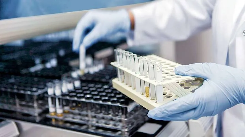 lab