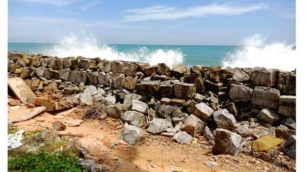 kadal