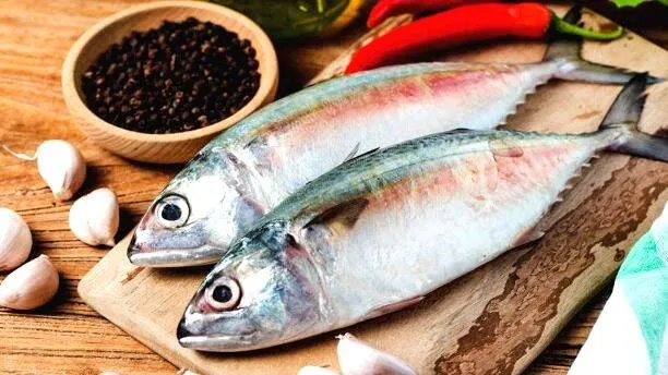 fish1