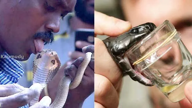 vava-suresh