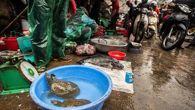vietnam-