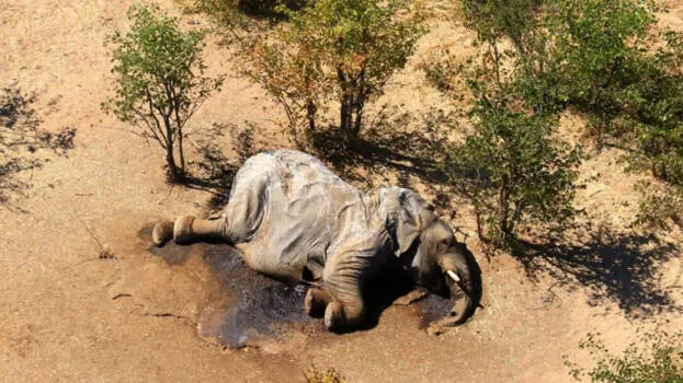 botswana