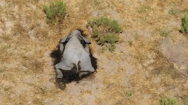 botswana