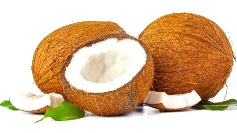 coconut
