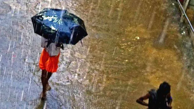 rain-6