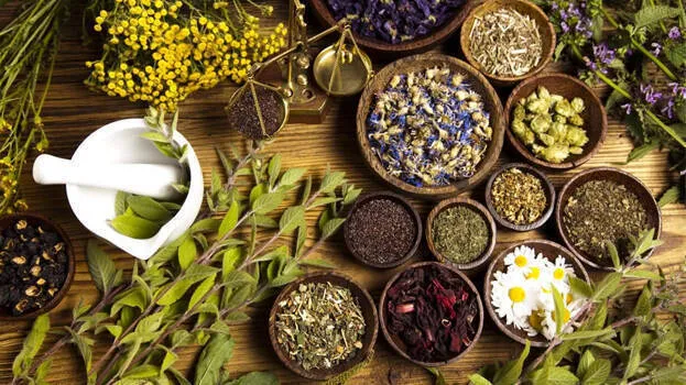 ayurvedic