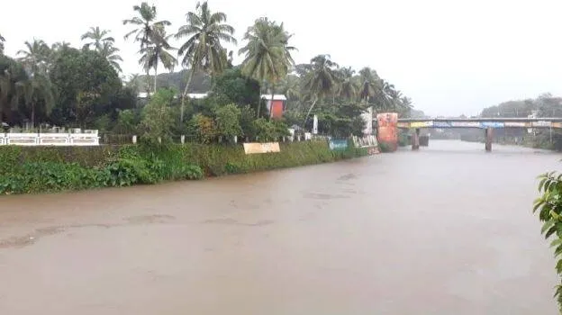 rain