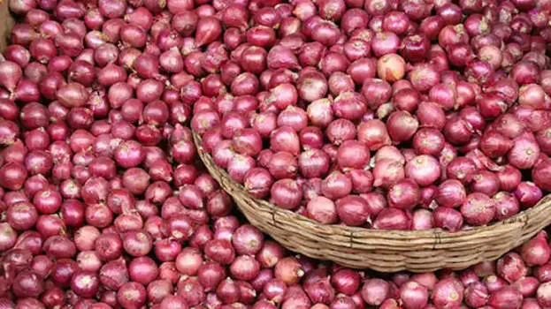 onion