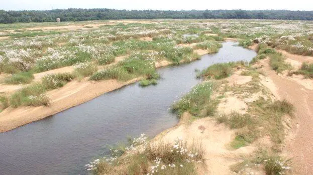 bharathapuzha
