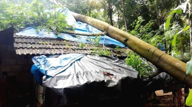 wind-and-rain