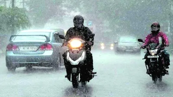 rain1