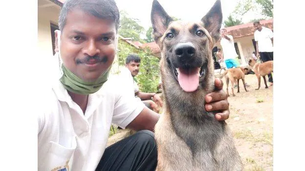 dog
