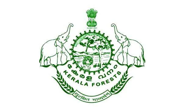 kerala-forest