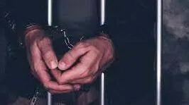 theft