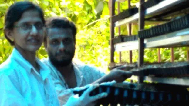 brijith