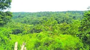 land