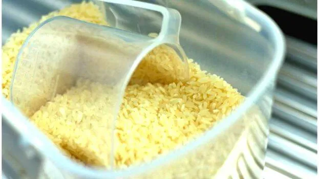 rice-