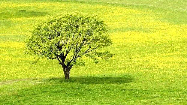 green