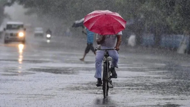 rain