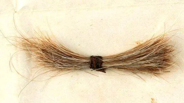 -hair