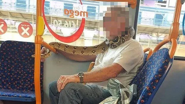 snake