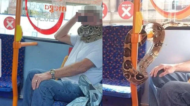snake