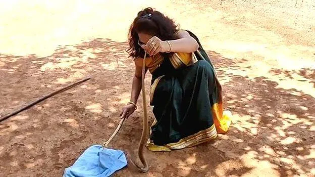 snake-catcher-nirzara