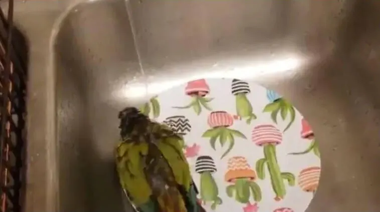 bath