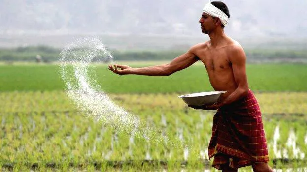 agriculture