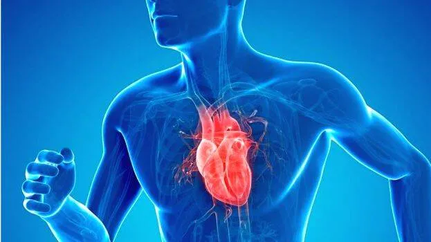 healthy-heart