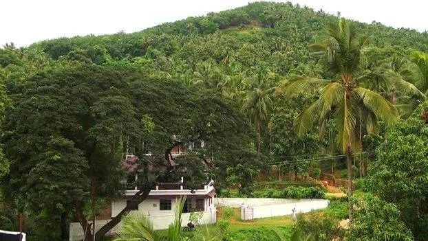 hills