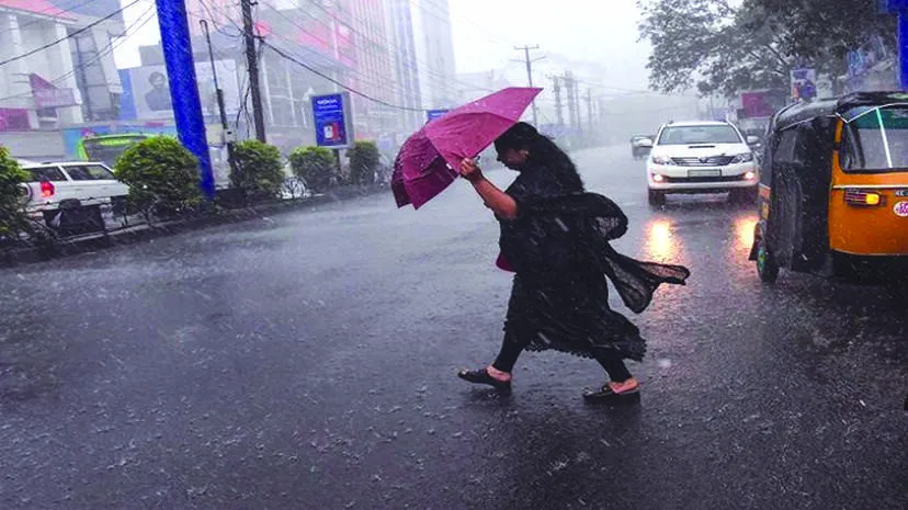 rain