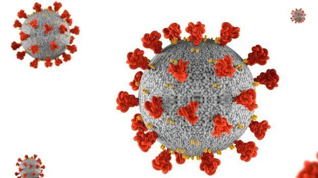 virus