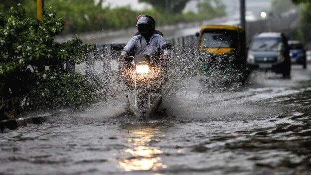 rain