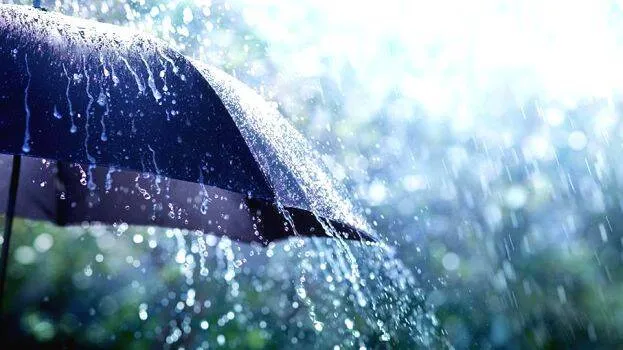 rain