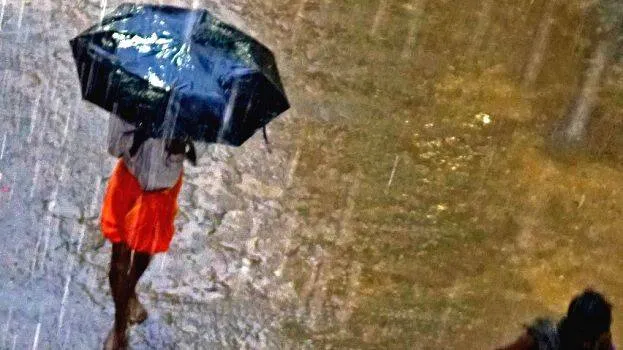 rain