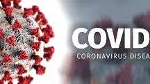 covid