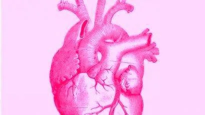heart
